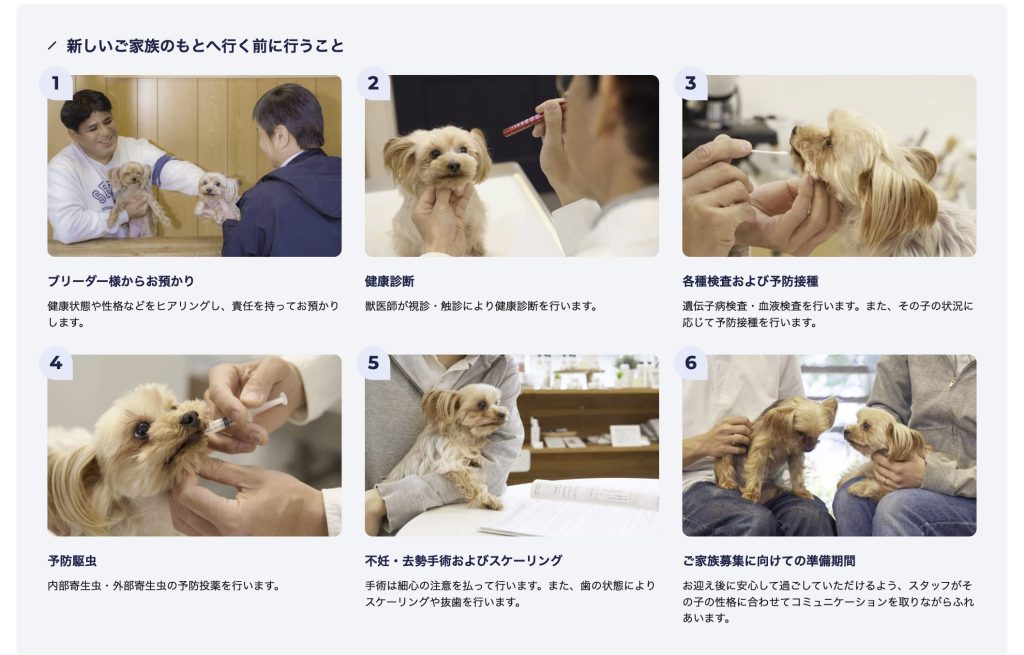 PetPlus